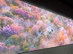 -罗红摄影艺术馆