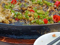 -老板恋上鱼(恒隆广场店)