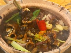 生啫金边花鳝-天宝食坊·啫啫煲大排档(西华路店)