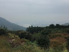 -南山植物园