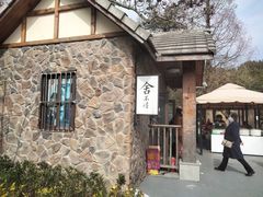-上海佘山国家森林公园东门地面停车场