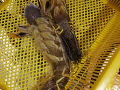 -泰华海鲜中餐厅(普吉镇店)