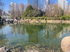 -新虹桥中心花园