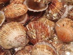 -浩运海鲜·16年专注青岛菜(石老人店)