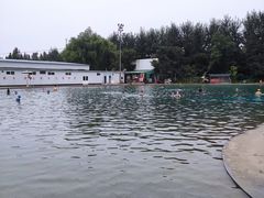 -柳浪游泳场
