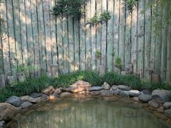 -张家港金凤凰度假村温泉