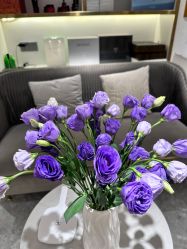 -MIDA蜜哒•科技逆龄美肤连锁