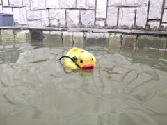-北京美神宫艺术主题温泉酒店