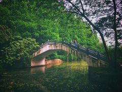 -水杉园