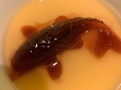 -甄御•海鲜新青岛菜(麦岛店)