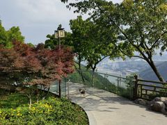 -铁山坪森林公园