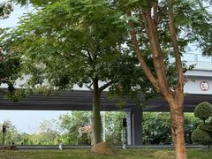 -长洲岛
