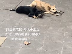 -面艺世家(驸马街店)