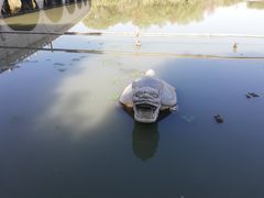 -昆山城市生态森林公园