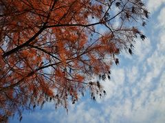 -白塘生态植物园