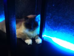 -零纪元VR体验馆·桌游(黄浦店)