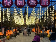 -国色天乡三期陆地乐园