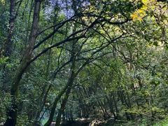 -呈贡滇池生态湿地公园