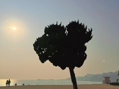 -青岛第一海水浴场