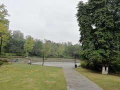 -重庆彩云湖湿地公园