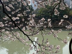 -红星桥(地铁站)
