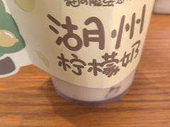 -猫的魔法密林(衣裳街店)