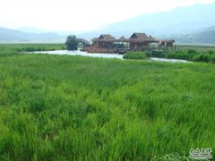 -腾冲北海湿地