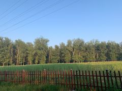 -东郊湿地公园