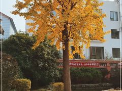 -翠园十八号庭院餐厅