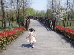 -自然谷恐龙园