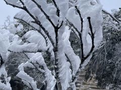-梧桐山风景名胜区