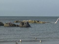 -北戴河东海水浴场