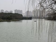 -洋湖国家湿地公园