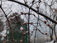 -北京西山国家森林公园