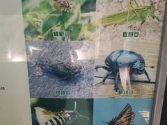 -上海昆虫博物馆