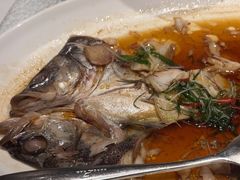 -老山东·山东菜(鲁菜名店)