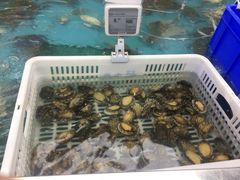 -盒马鲜生(宝地店)