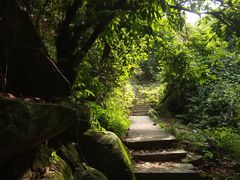 -火炉山森林公园
