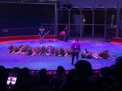 -西安秦岭野生动物园