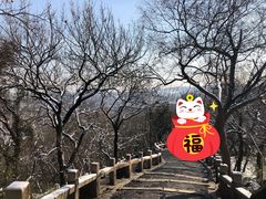 -灵岩山风景区