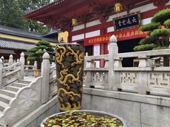 -灵谷景区