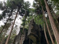 -梭布垭石林景区