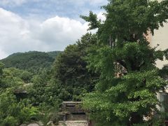 -逸廊大堂吧-下午茶·简餐-千岛湖自由洲际殿