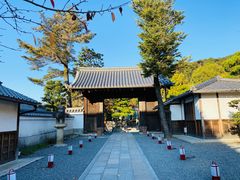 -有栖山 清光院 清水寺