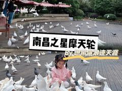 -南昌之星摩天轮