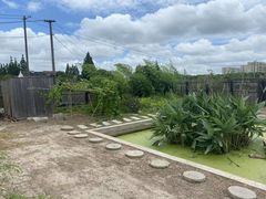 -南汇新场正宗水蜜桃采摘