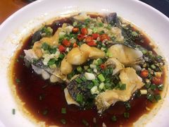 -全乐鱼馆·淳牌有机鱼直营店