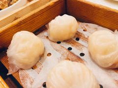 -金翠皇宫粤菜·点心·海鲜(翡翠店)