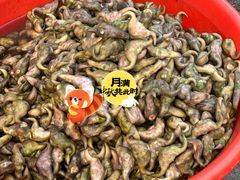 -花园菜市场
