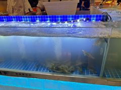 活虾-扶摇树下·椒麻鲜活虾(石家庄勒泰广场店)